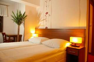 Отель Hotel & Restauracja Timberland Orzesze Двухместный номер с 1 кроватью или 2 отдельными кроватями-6